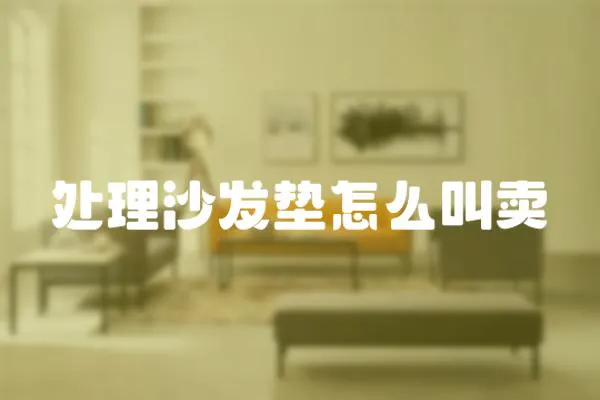 處理沙發墊怎么叫賣