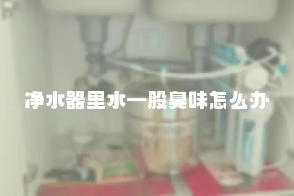 凈水器里水一股臭味怎么辦