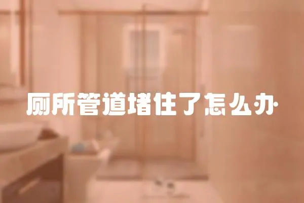 廁所管道堵住了怎么辦