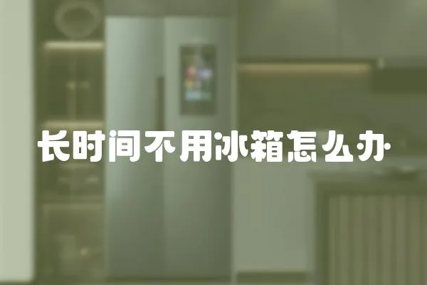 長時間不用冰箱怎么辦