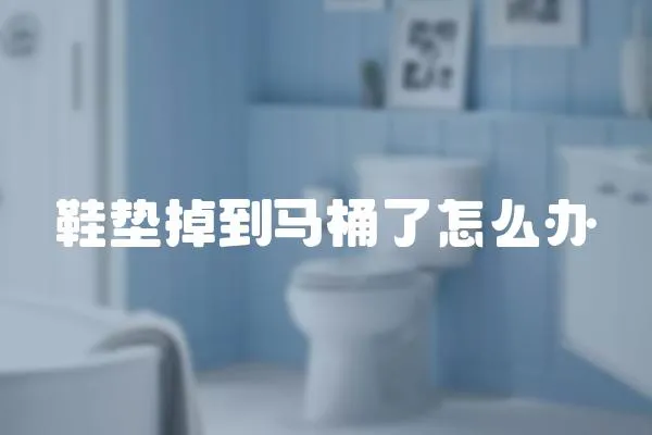 鞋墊掉到馬桶了怎么辦