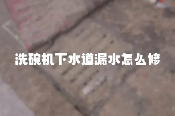 洗碗機下水道漏水怎么修