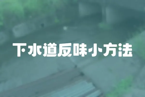 下水道反味小方法