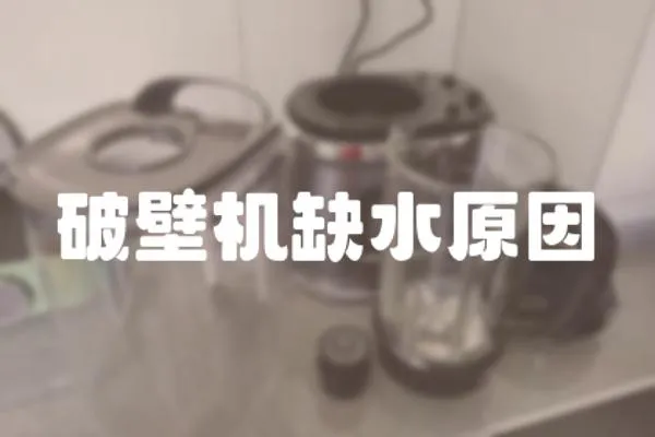 破壁機(jī)缺水原因
