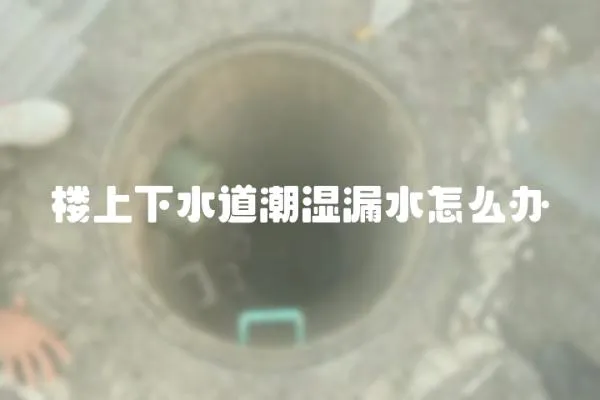 樓上下水道潮濕漏水怎么辦
