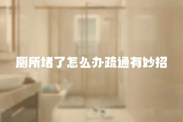 廁所堵了怎么辦疏通有妙招