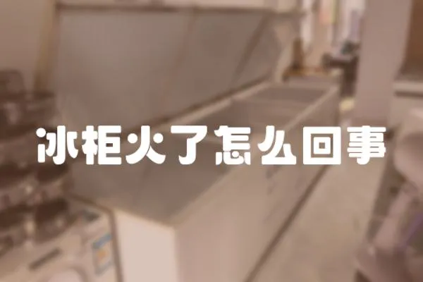 冰柜火了怎么回事