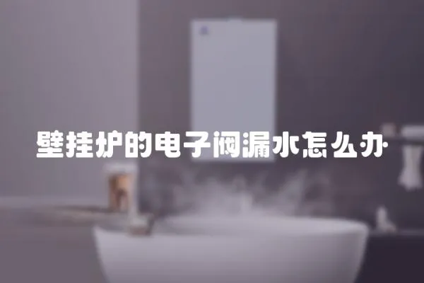 壁掛爐的電子閥漏水怎么辦