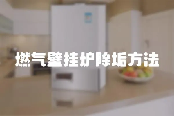 燃氣壁掛爐除垢方法