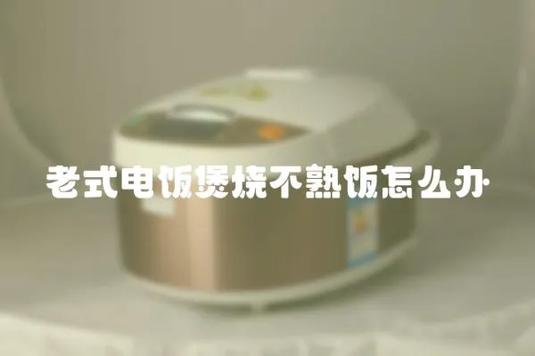 老式電飯煲燒不熟飯怎么辦