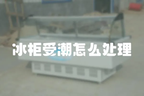 冰柜受潮怎么處理