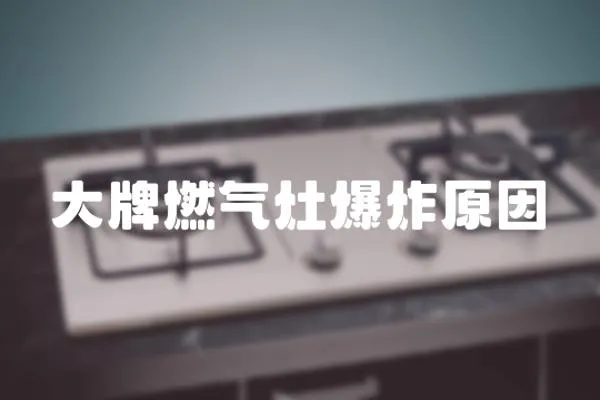 大牌燃?xì)庠畋ㄔ?></a></div>
                    </div>
                    <div   id=