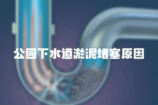 公園下水道淤泥堵塞原因