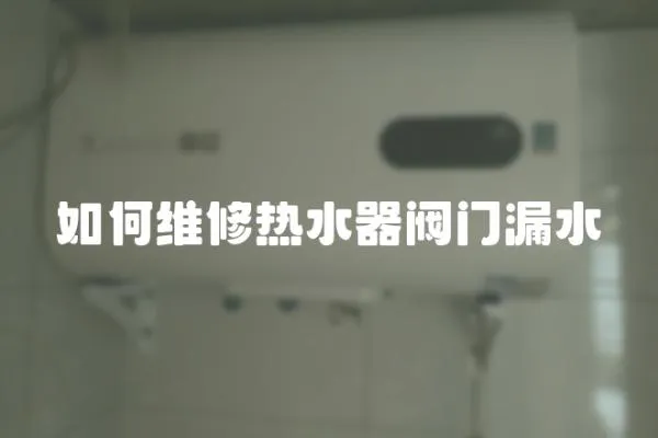 如何維修熱水器閥門漏水