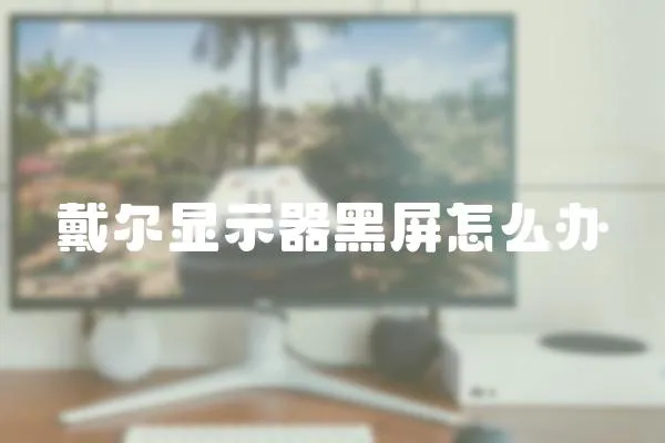 戴爾顯示器黑屏怎么辦