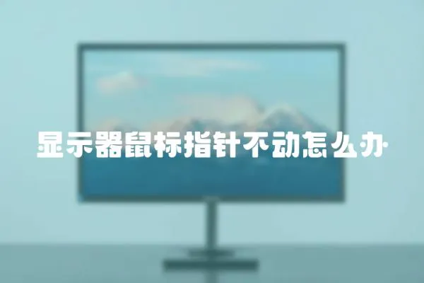 顯示器鼠標指針不動怎么辦