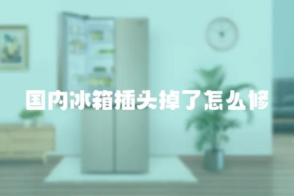 國內冰箱插頭掉了怎么修
