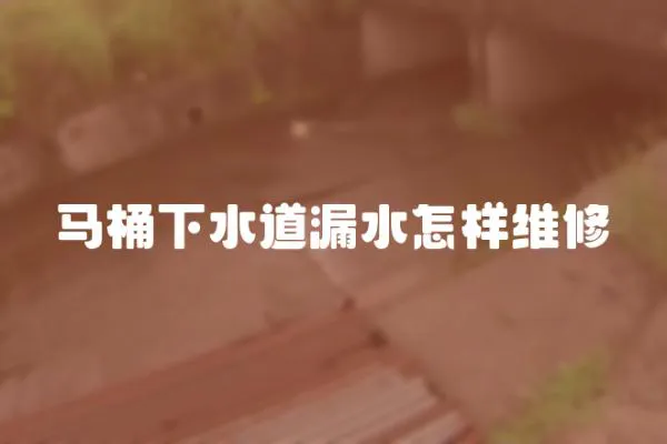 馬桶下水道漏水怎樣維修