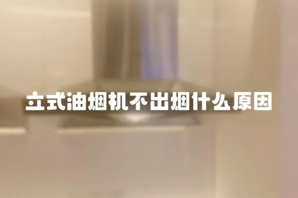 立式油煙機(jī)不出煙什么原因