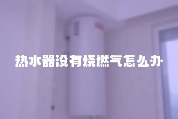 熱水器沒有燒燃氣怎么辦