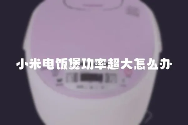 小米電飯煲功率超大怎么辦