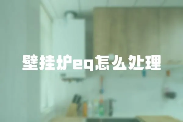 壁掛爐eg怎么處理