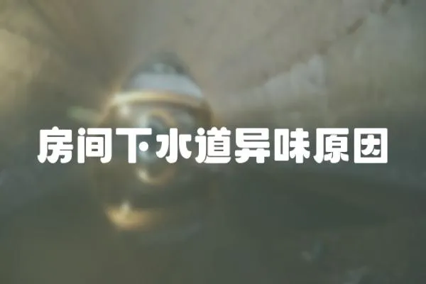 房間下水道異味原因