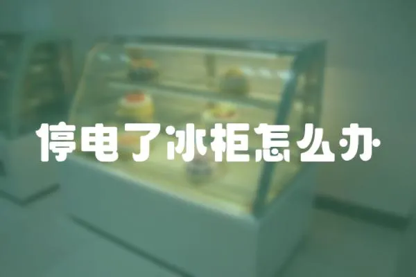 停電了冰柜怎么辦