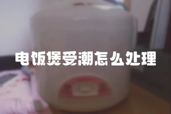 電飯煲受潮怎么處理