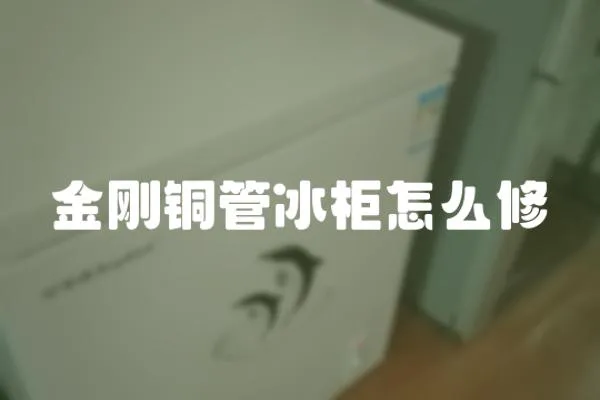 金剛銅管冰柜怎么修