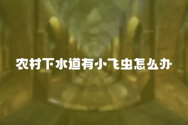 農村下水道有小飛蟲怎么辦