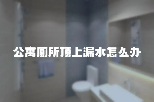 公寓廁所頂上漏水怎么辦