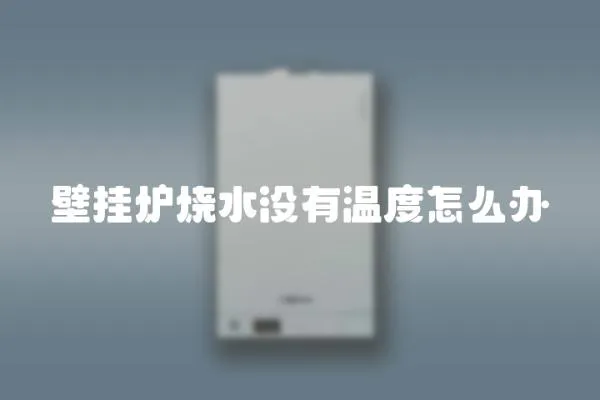 壁掛爐燒水沒有溫度怎么辦