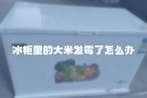 冰柜里的大米發霉了怎么辦
