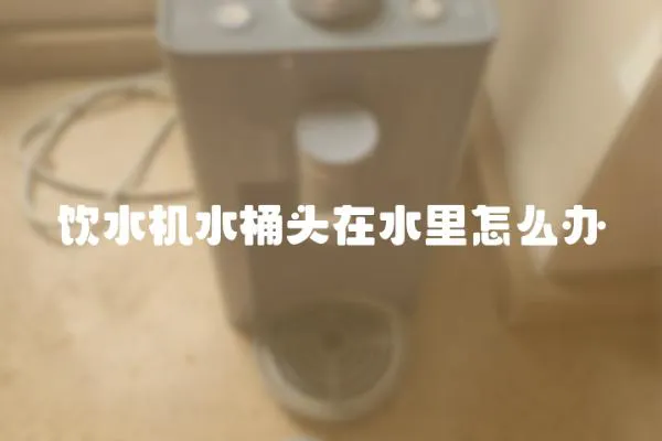 飲水機水桶頭在水里怎么辦