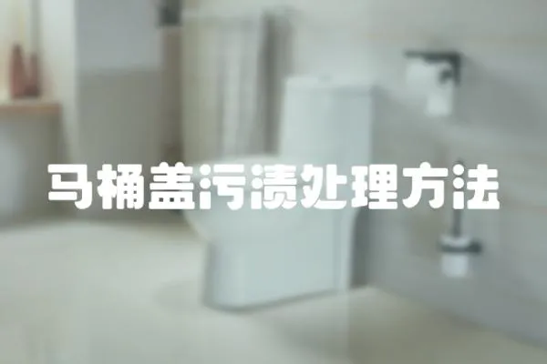 馬桶蓋污漬處理方法