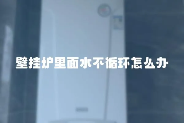 壁掛爐里面水不循環(huán)怎么辦