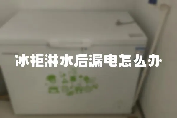 冰柜淋水后漏電怎么辦