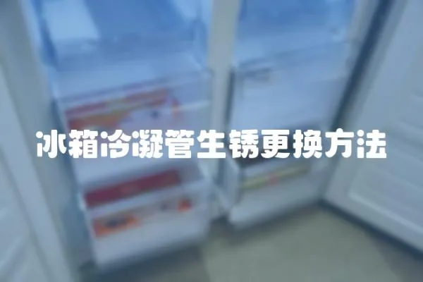 冰箱冷凝管生锈更换方法