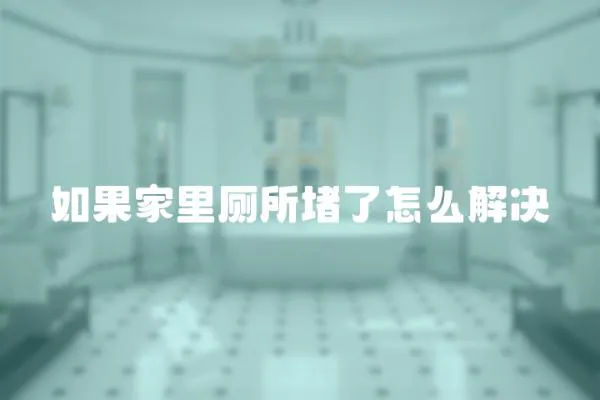 如果家里廁所堵了怎么解決