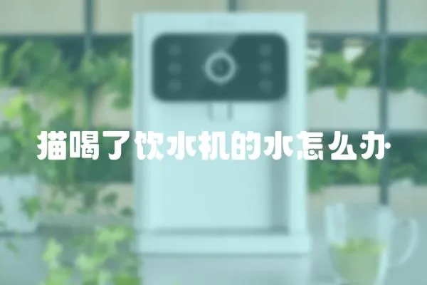 貓喝了飲水機的水怎么辦