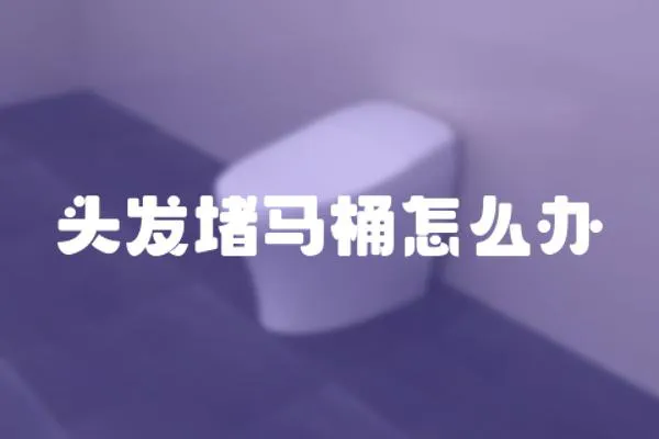 頭發堵馬桶怎么辦