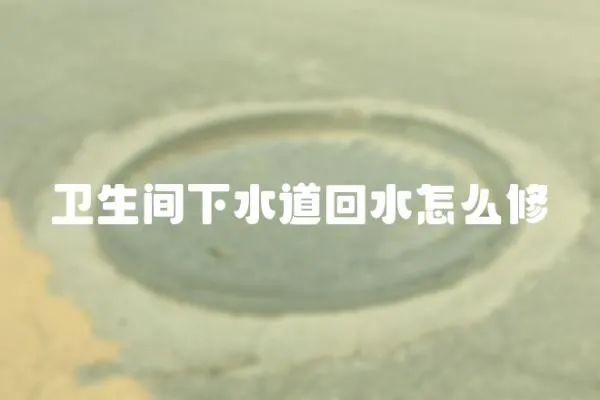 衛生間下水道回水怎么修