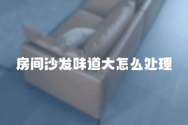 房間沙發(fā)味道大怎么處理