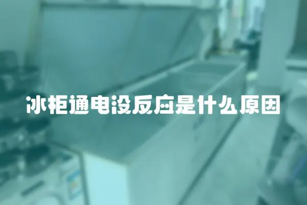 冰柜通電沒反應(yīng)是什么原因