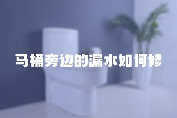 馬桶旁邊的漏水如何修