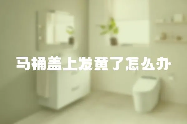 馬桶蓋上發(fā)黃了怎么辦