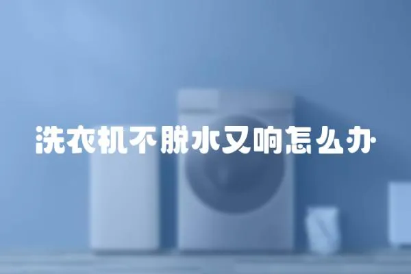 洗衣機不脫水又響怎么辦