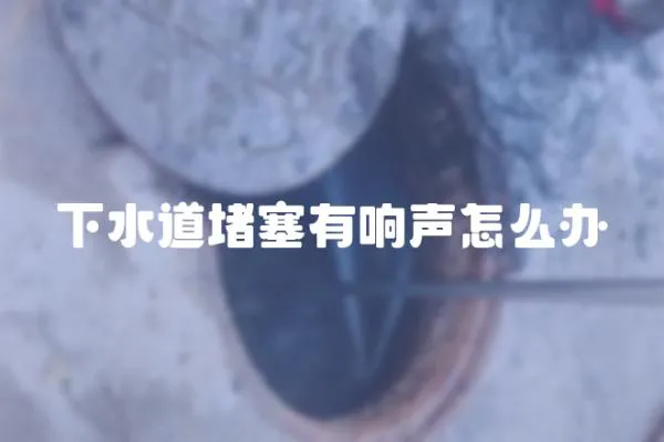 下水道堵塞有響聲怎么辦