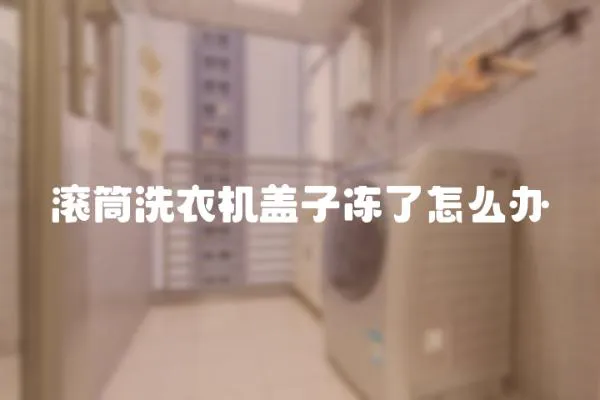 滾筒洗衣機蓋子凍了怎么辦